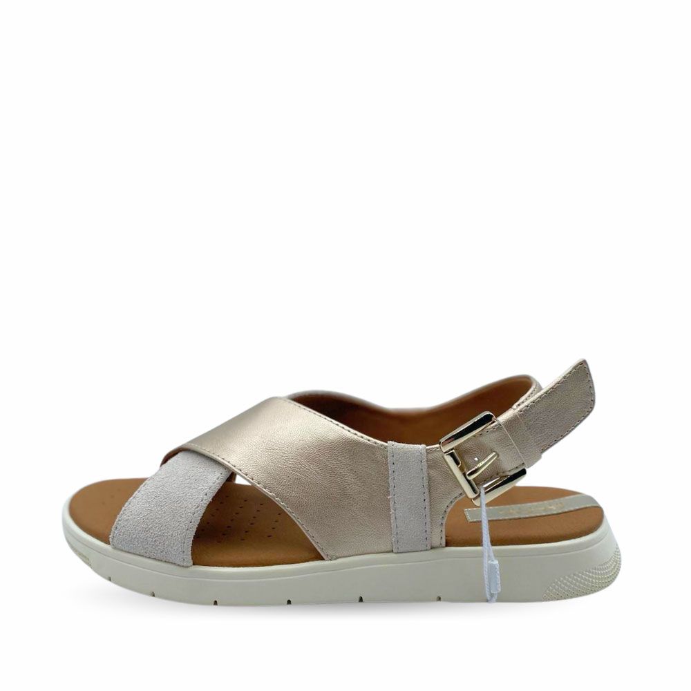 Carmen Shoes. Zapatería online. Torrelavega.